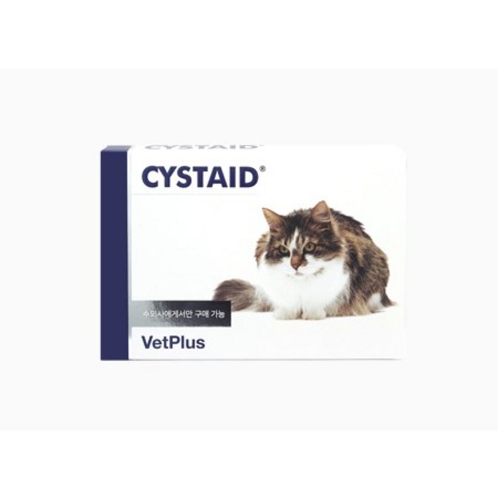 고양이 캣 시스테이드 플러스11 총 60캡슐