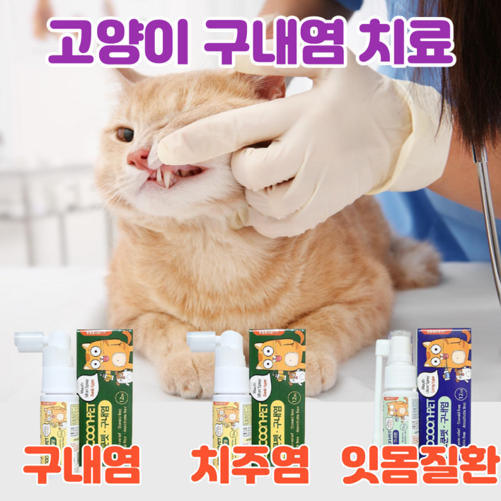 이지캣 고양이 구내염약 구내염 치주염 치은염 잇몸염증 바르는 젤 구강 영양제 고양이구내염약
