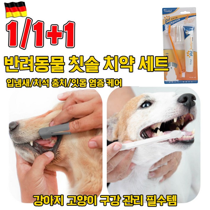 오늘특가 반려동물 치약 칫솔 세트 강아지 고양이 바르는 치약 입냄새 치석 충치 잇몸 염증 케어