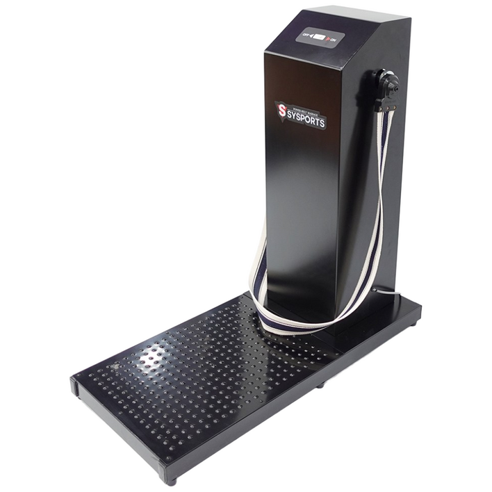 헬스장 벨트마사지기 덜덜이 국내생산 AC모터 허리마사지기 뱃살빼기 체지방감소 전신운동기구 스트레칭 피로회복 가정용 클럽용 목욕탕 털털이, 블랙