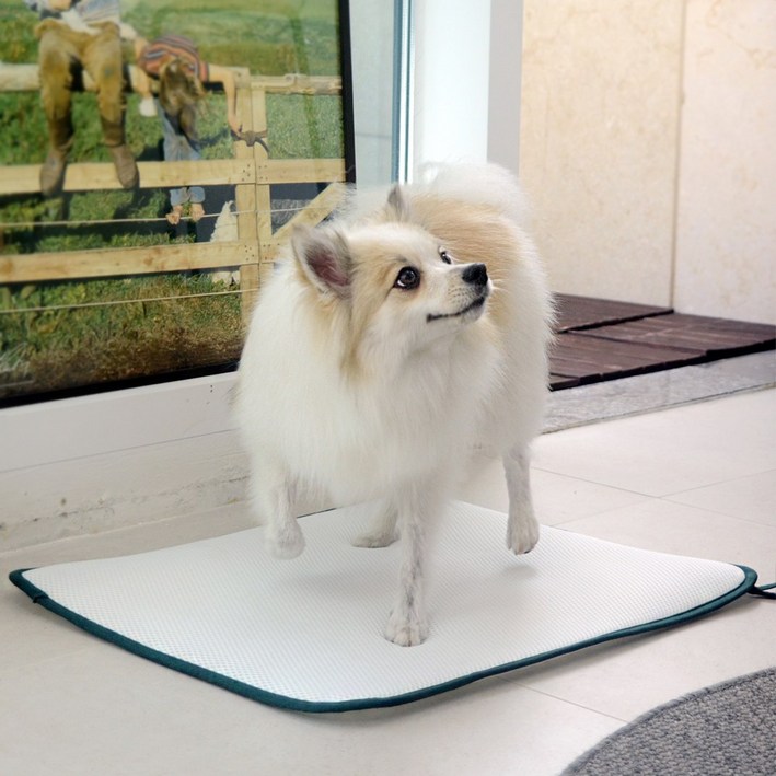 오놀라 씻어쓰는 빨아쓰는 3D매쉬 강아지 배변패드