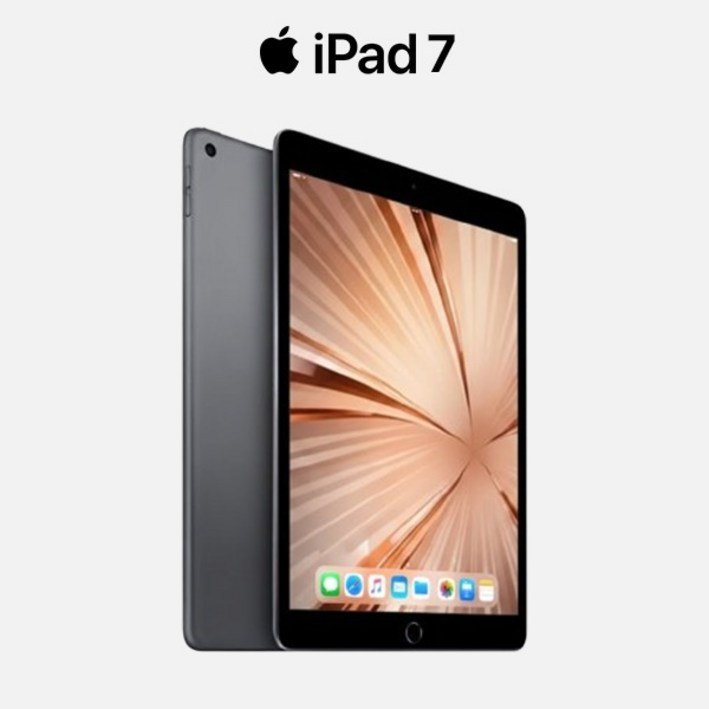 애플 아이패드 7세대 10.2형 IPS WiFi+LTE 태블릿PC, Wi-Fi + 셀룰러, 128GB, 스페이스 그레이