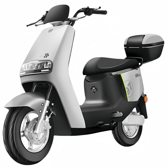 Montheria 전기자전거 48V 출퇴근 배달 전기스쿠터 A598203