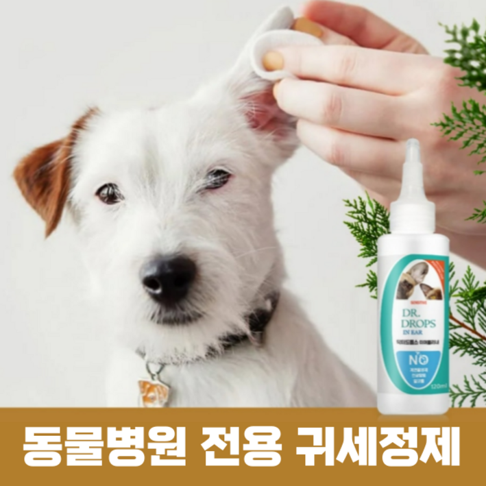 썬데이펫 강아지 귀염증약 귀세정제 귀청소 외이염 귀각질 고양이 귀지 귀냄새 귓병약 귀진드기약 소독약