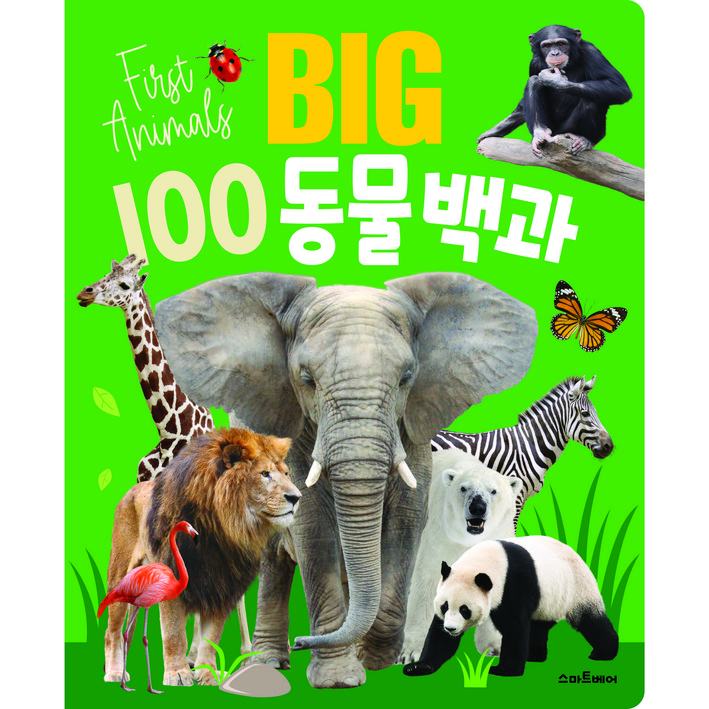 예림당 BIG 100 동물백과