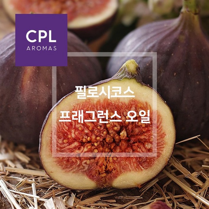 필로시코스 프래그런스오일 20ml 500ml 영국 CPL 아로마 캔들 디퓨져 재료