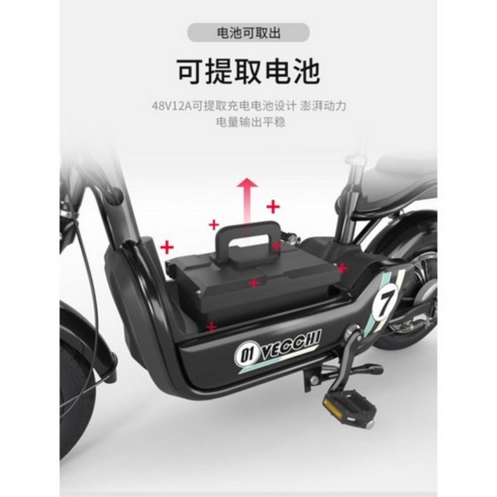 JSH 성인 전동차 전동 스쿠터 2인승 여성 조력 레저대보차 전기자전거