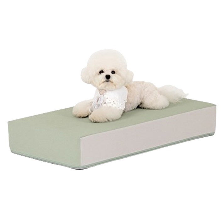 퍼핑 논슬립 펫스텝 1단