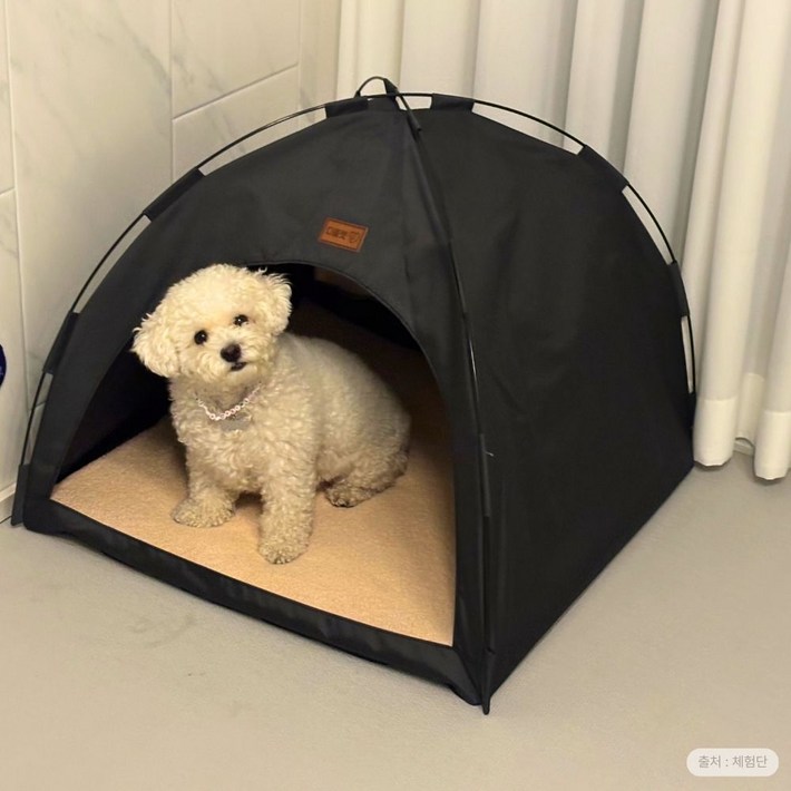 디클펫 텐트 하우스 강아지 고양이 집 사계절 숨숨집 폭신한 양면 방석 포함 디클펫 텐트 하우스 강아지 고양이 집 사계절 숨숨집 폭신한 양면 방석 포함