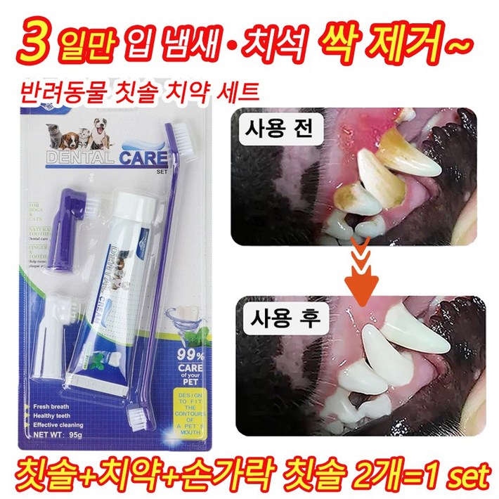 빠른 배송 111 반려동물 칫솔 치약 세트 강아지 고양이 구강 관리 필수템 입냄새 제거 잇몸 건강 케어