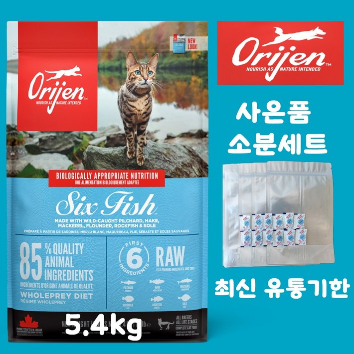 오리젠 6 식스 피쉬 캣 견성상사 단독 사은품 증정 판매자 확인필수