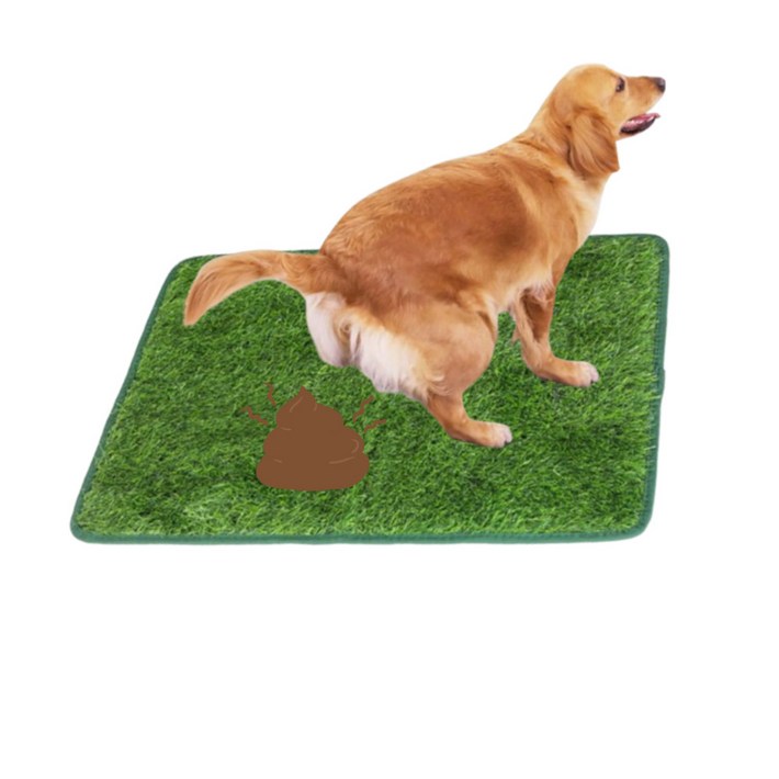 멍냥스토리 잔디 배변판 소변매트, 1개, 배변훈련
