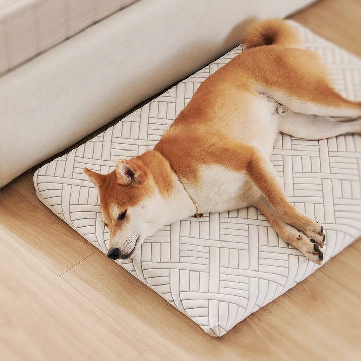 꽁떼떼 100 국내생산 메모리폼 강아지 매트리스 침대 애견 쿠션 ML 꽁떼떼 100 국내생산 메모리폼 강아지 매트리스 침대 애견 쿠션 ML