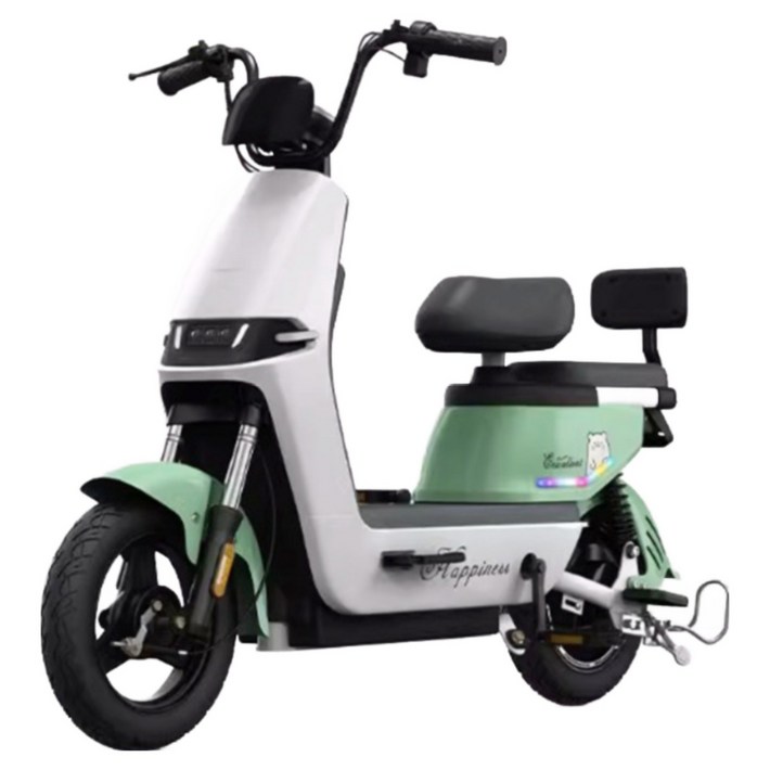 WINda 출퇴근 통학 경량 전기 자전거 스틸 전동 스쿠터 자토바이 팻바이크 48v