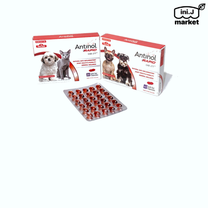 국내정품동물병원 빠른 배송 안티놀 래피드 Antinol RAPID 180정 관절영양제매장 국내정품동물병원 빠른 배송 안티놀 래피드 Antinol RAPID 180정 관절영양제매장
