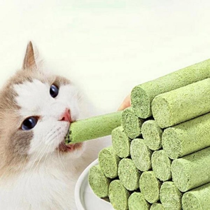5pcs 고양이 잔디 치아 연삭 스틱 애완 동물 간식 헤어볼 제거 가벼운 머리 행 먹을 준비가 아기 청소