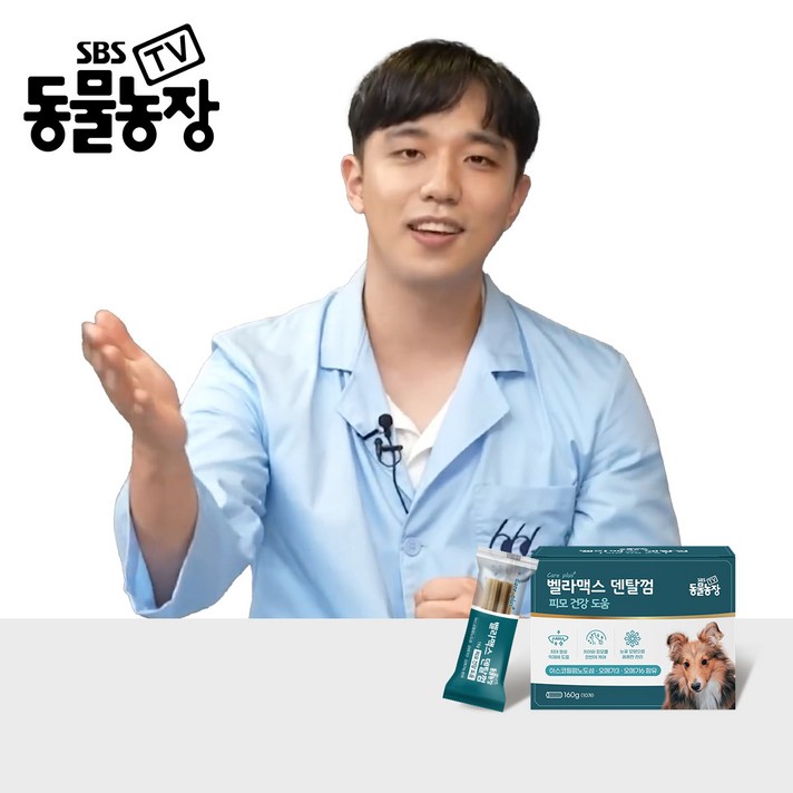 SBS TV 동물농장 덴탈껌 강아지 치석 양치 입냄새 제거, 구강치석관리, 단품, 3세트, 160g SBS TV 동물농장 덴탈껌 강아지 치석 양치 입냄새 제거, 구강치석관리, 단품, 3세트, 160g