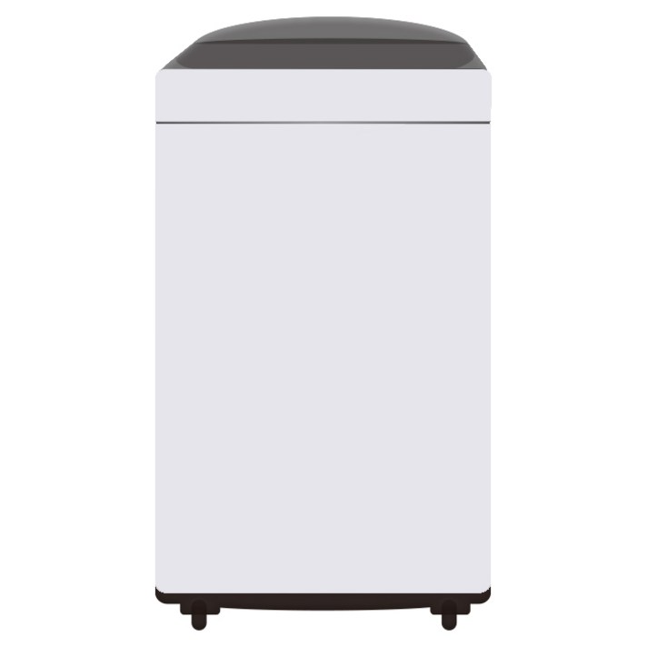 LG 10kg 통돌이세탁기 TR10WL