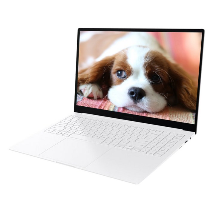 삼성전자 갤럭시 북2 프로 SE 인텔 가벼운 업무용 사무용 대학생 노트북, NT950XFT-A51A, Free DOS, 16GB, 2TB, SIVER