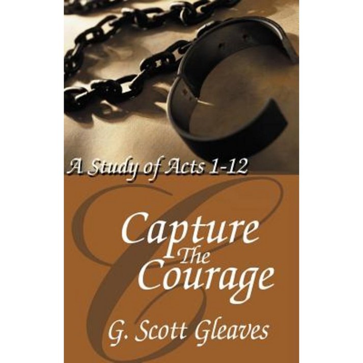 Capture the Courage Paperback 20240419