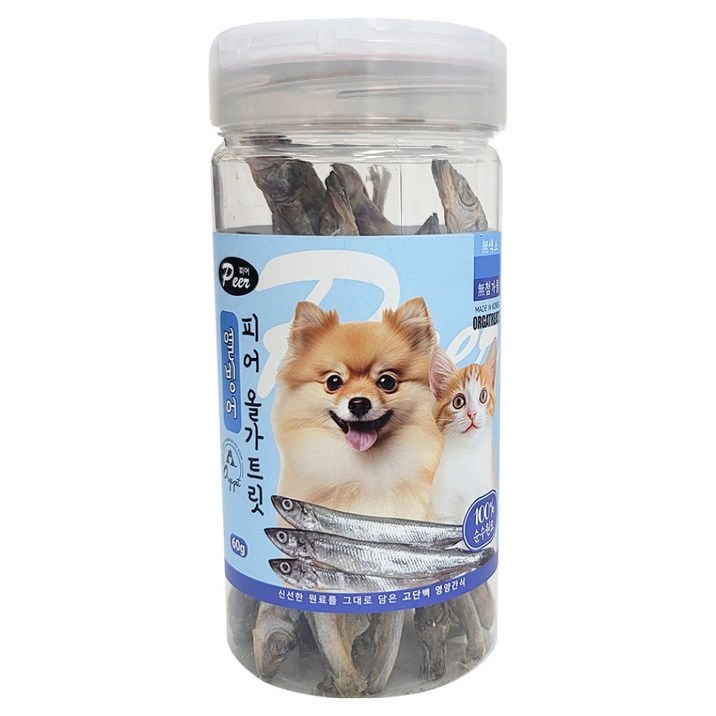 피어 반려동물 올가트릿 통간식