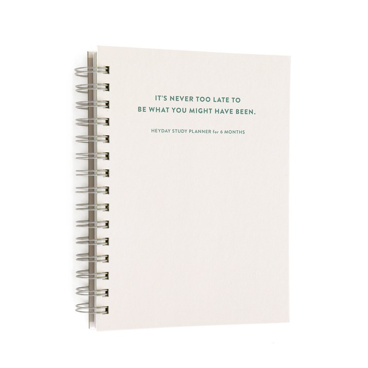 아이코닉 헤이데이 스터디 플래너 6개월