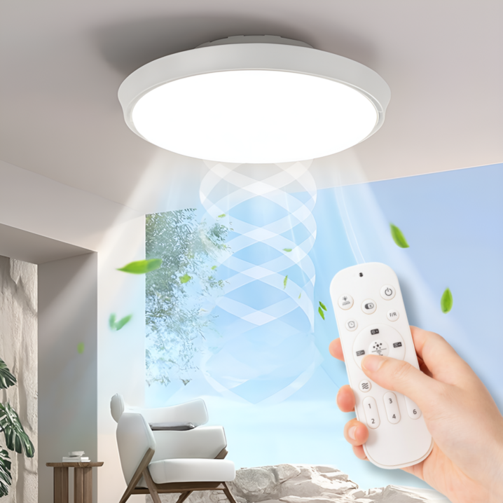 대운 무날개 조명 실링팬 천장선풍기 LED 무소음 대형 천장 안방 무선 라이트팬 서큘레이터