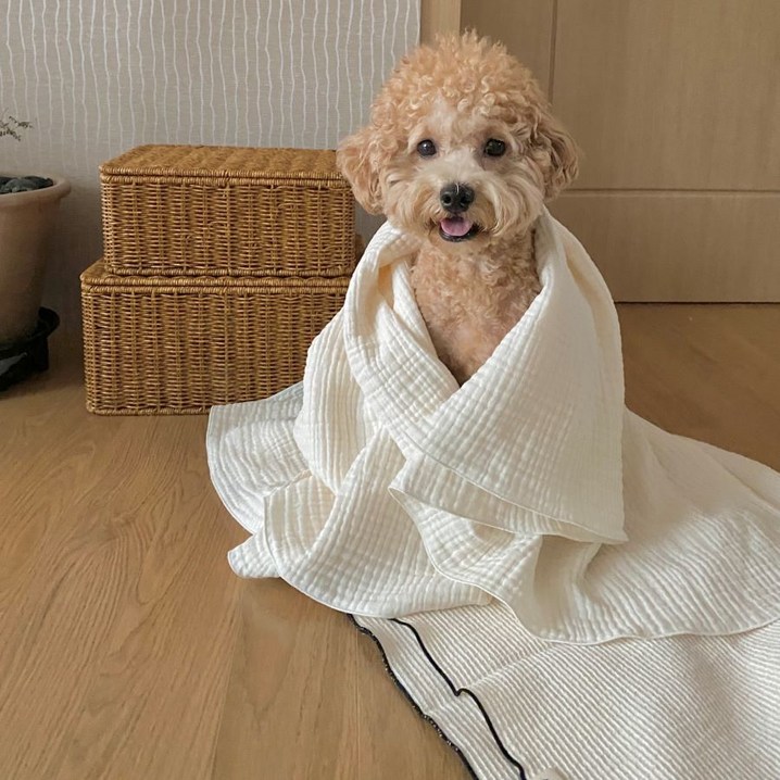 순면100 강아지이불 애견담요 블랭킷 켄넬담요, 아이보리7090, 1개
