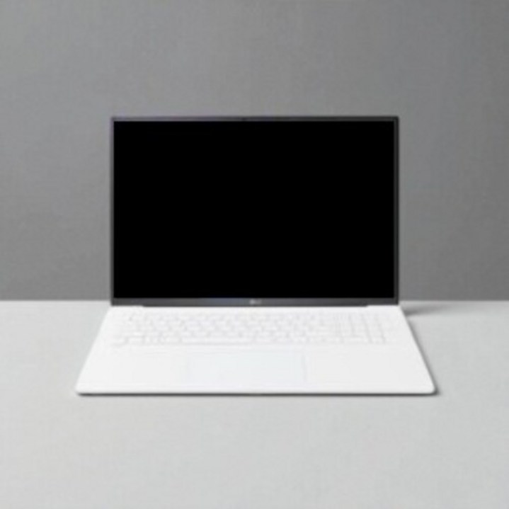 LG전자 2023 그램 15 코어i5 인텔 13세대