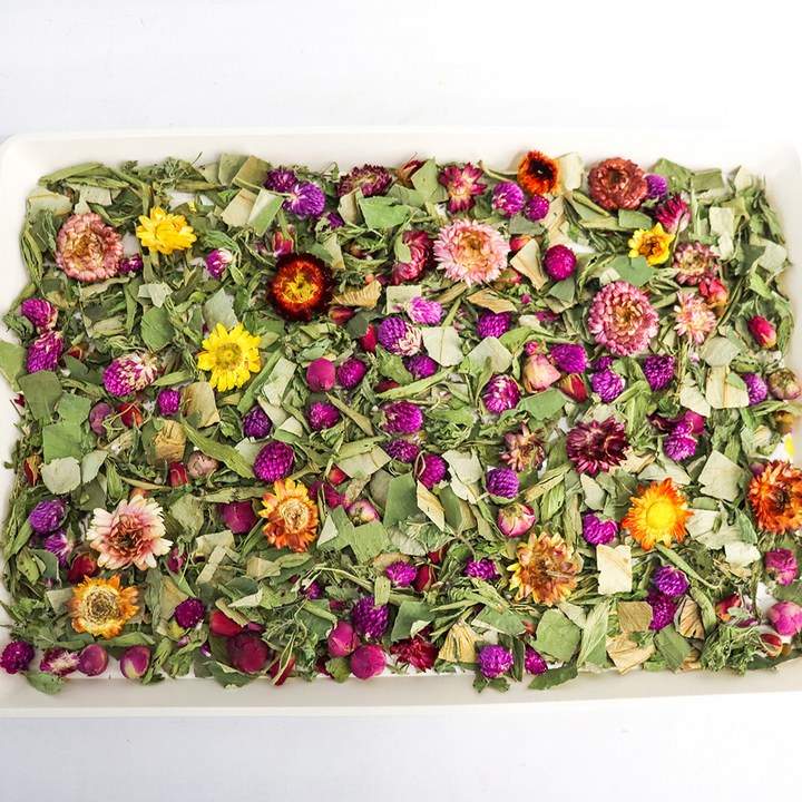 앵무새 자연주의 플라워 100g