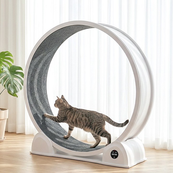 돌아라 저소음 대구경 캣휠 스마트 거리측정 고양이 런닝머신, 1개, 흰색