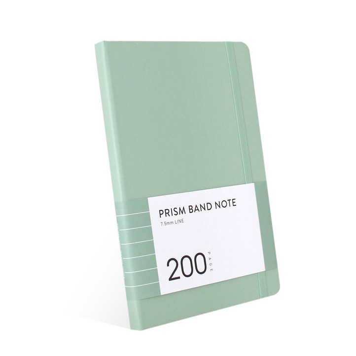 인디고 프리즘 200 밴드노트 라인
