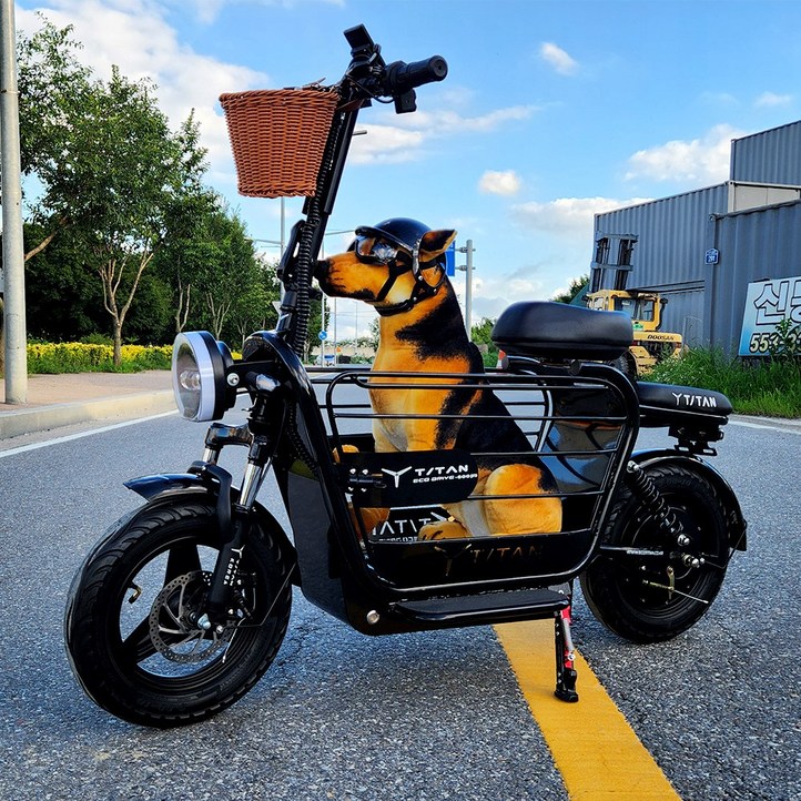 타이탄600프로 강아지 전동스쿠터 48v 21ah 1000w 반려동물 우리가족전기스쿠터 TITAN600PRO