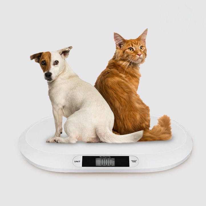 애구애구 강아지 고양이 체중계 건전지 포함, 화이트, 단일상품