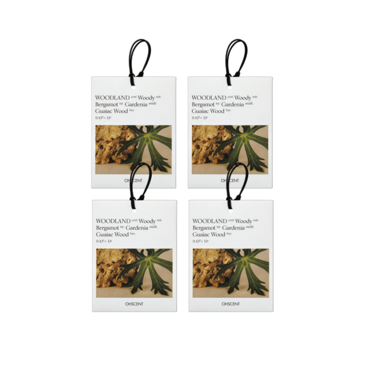 31 오센트 퍼퓸 샤쉐 6종 4입, 룸 차량 옷장 화장실 방향제 공간을 담은 향기