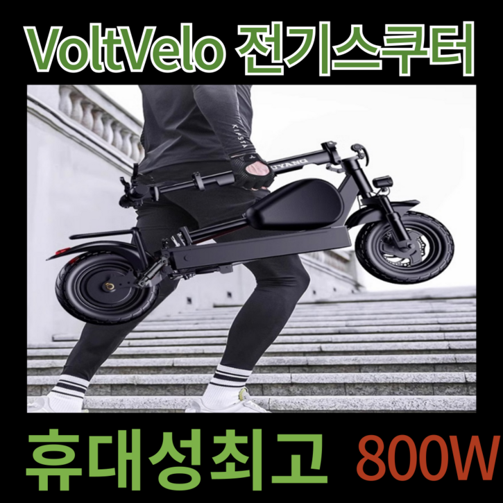 VoltVelo 휴대성 뛰어난 미니벨로 전기자전거 접이식 전동 바이크 스쿠터 800W