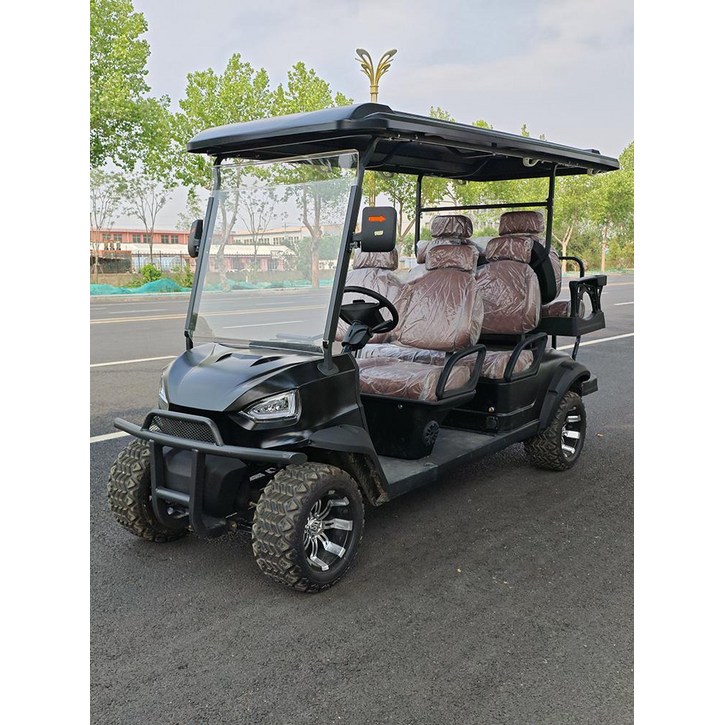 전원 주택 노인 4륜 카트 전동 골프카트 관광차  관람 전기차