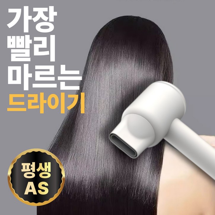 하이엔드음이온 초고출력 BLDC 항공모터 순환기능 가정용 전문가용 헤어 드라이기, 에센셜 화이트