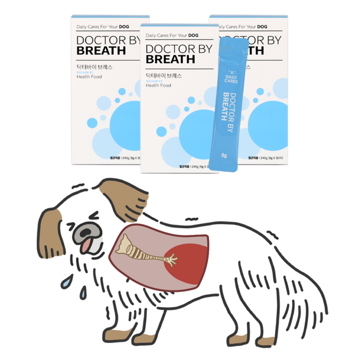 닥터바이 브레스 강아지 기관지 영양제 기침 호흡기 켁켁거림 보조제
