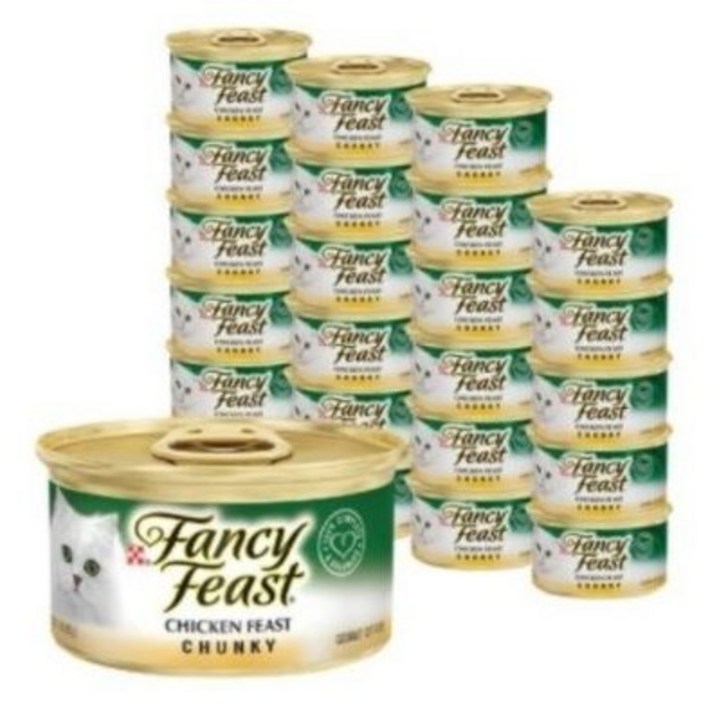 팬시피스트 3개월 이후 고양이 청키 주식캔