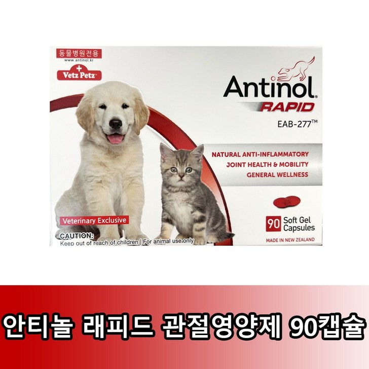 안티놀 90정  안티놀 래피드 90정 강아지 고양이 겸용  관절영양제  국내정식판매제품  리뉴얼 버전 신제품  유통기한 24년 7월