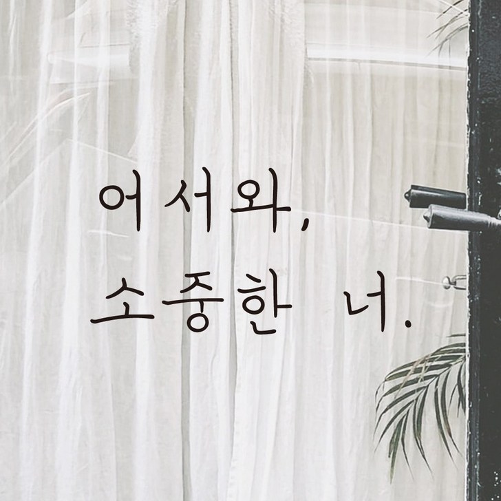모노먼트 손글씨 감성 레터링 스티커  어서와 소중한 너, 검정