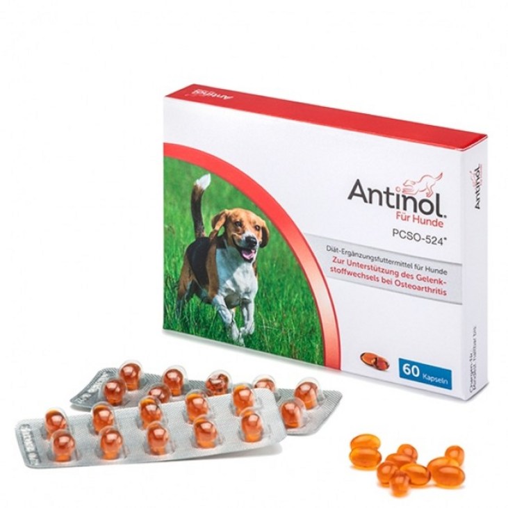 안티놀(Antinol) 안티놀 조인트 포뮬레이션(강아지 관절 영양제) 60 소프트젤 캡슐