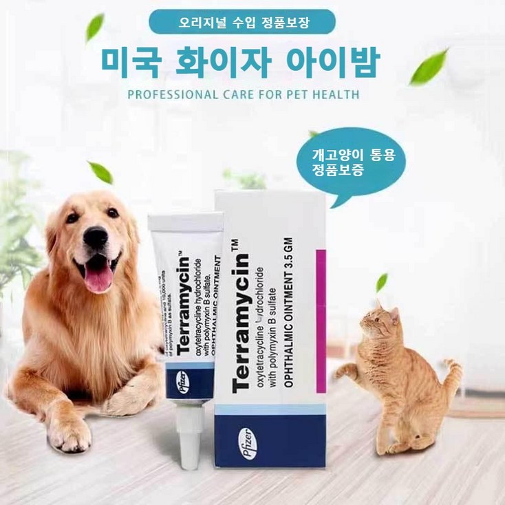 미국 히트 국내출하 테라마이신 안연고 고양이 눈병 고양이 결막염 강아지 눈병 강아지 결막염 안연고 반려견 반려묘 눈 감염 치료 세균성 염증연고