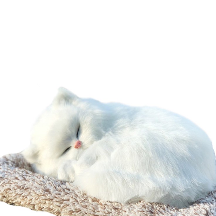 미니형 숯먹는 고양이 차량용 탈취용품 화이트양이