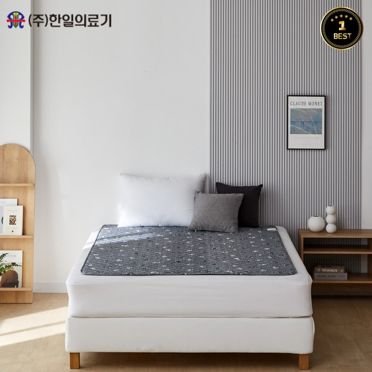 24년형 8월 출시한일의료기 프리미엄 고급 전기요 곰인형 싱글,더블 24년형 8월 출시한일의료기 프리미엄 고급 전기요 곰인형 싱글,더블