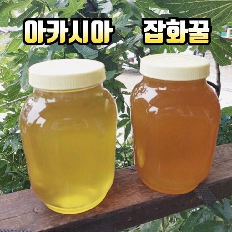 농가살리기 햇꿀 소백산 아카시아 꿀 2.4kg, 2.4kg, 1개