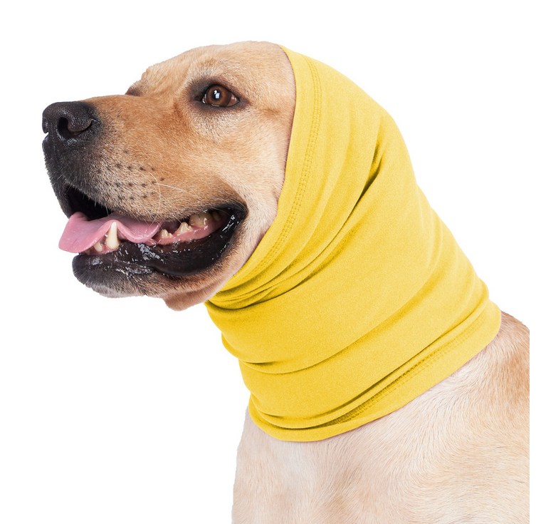 애완동물 보온 방한용 머리띠   강아지 귀마개 강아지가 귀마개를 달래다