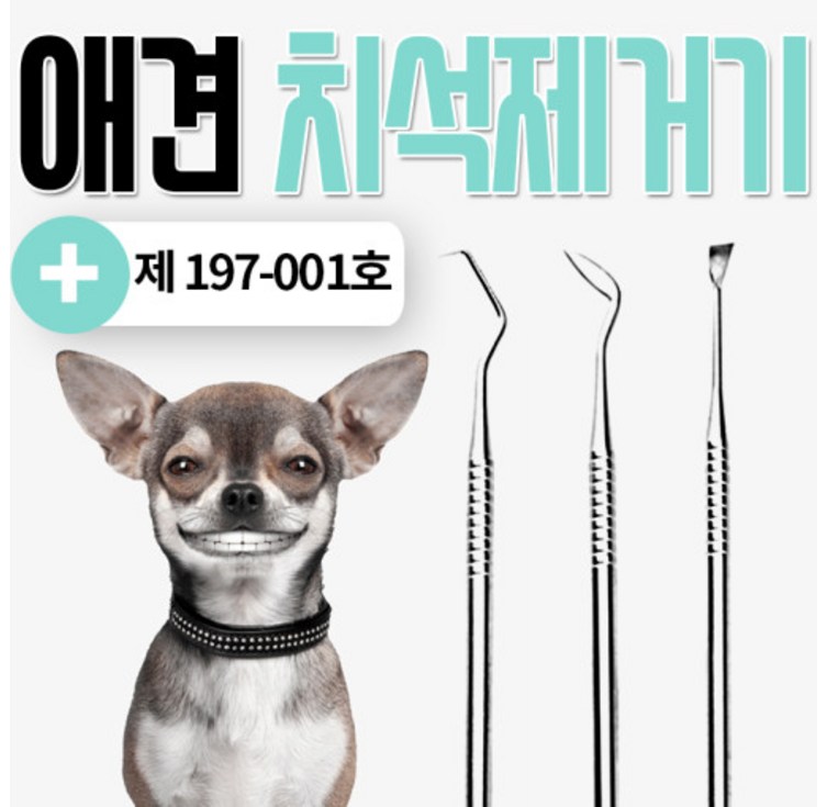 애견셀프 치석제거기스케일링 애견셀프 치석제거기스케일링
